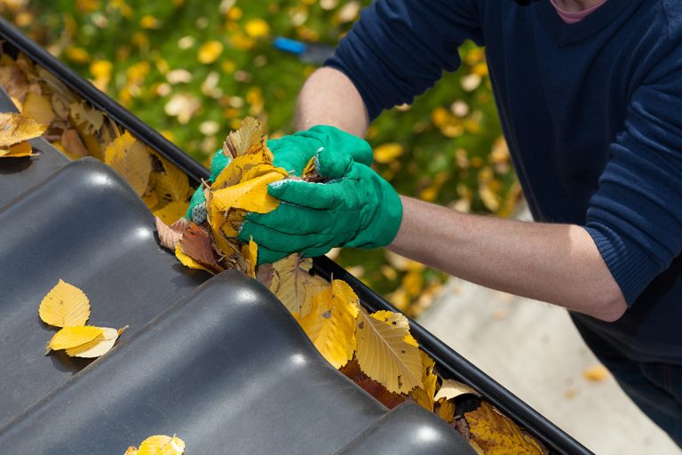 Top 10 Gutter Cleaning Tips