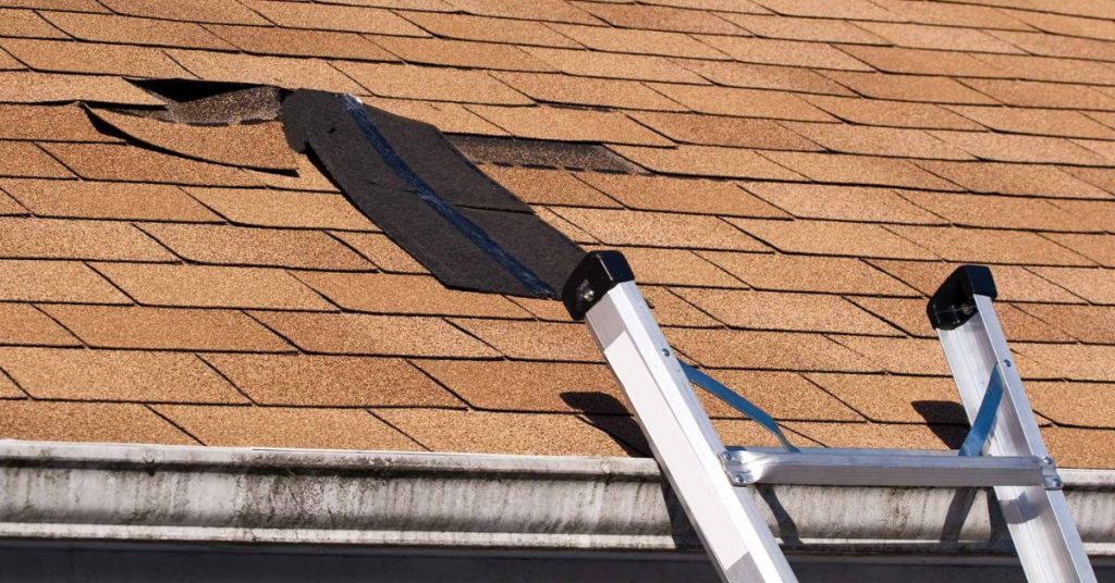 Which of the Following Is a Common Problem with Roof Shingles